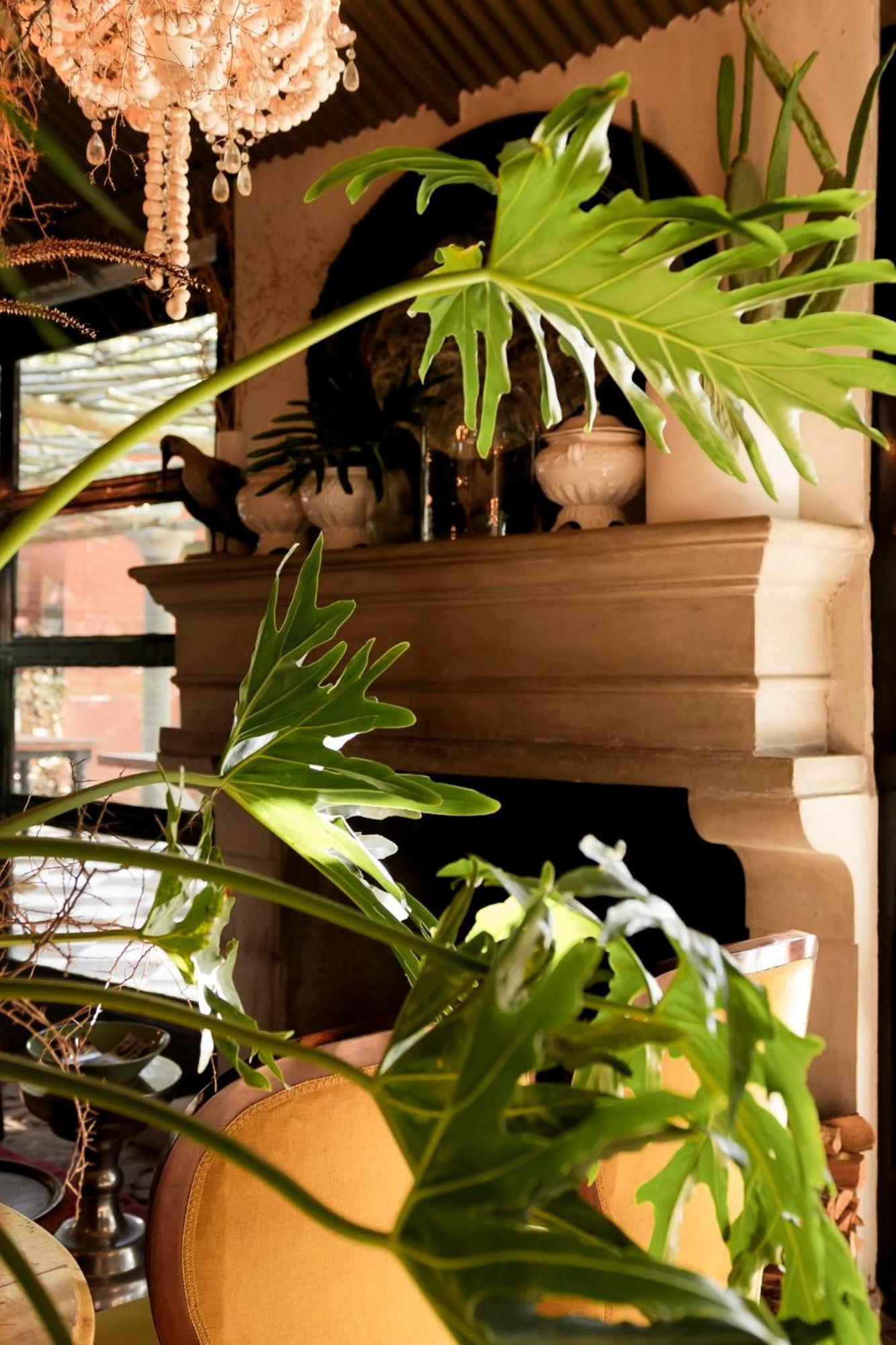 Sweetfontein Boutique Farm Lodge Britstown Eksteriør billede